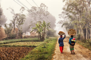 Mujeres nepalesas caminando por un sendero rural con cestas en la cabeza, rodeadas de campos verdes y árboles en Terai, Nepal. Turismo cultural y experiencias rurales.