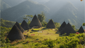 En Wae Rebo, en cambio, las viviendas son siete cabañas cónicas de techo muy alto de paja, únicas en su estilo, que se levantan en medio de un anfiteatro natural de montañas envueltas en niebla.