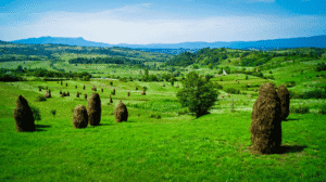 Paisaje rural de Maramureș en Rumanía con pueblos tradicionales de madera, montañas y campos verdes.