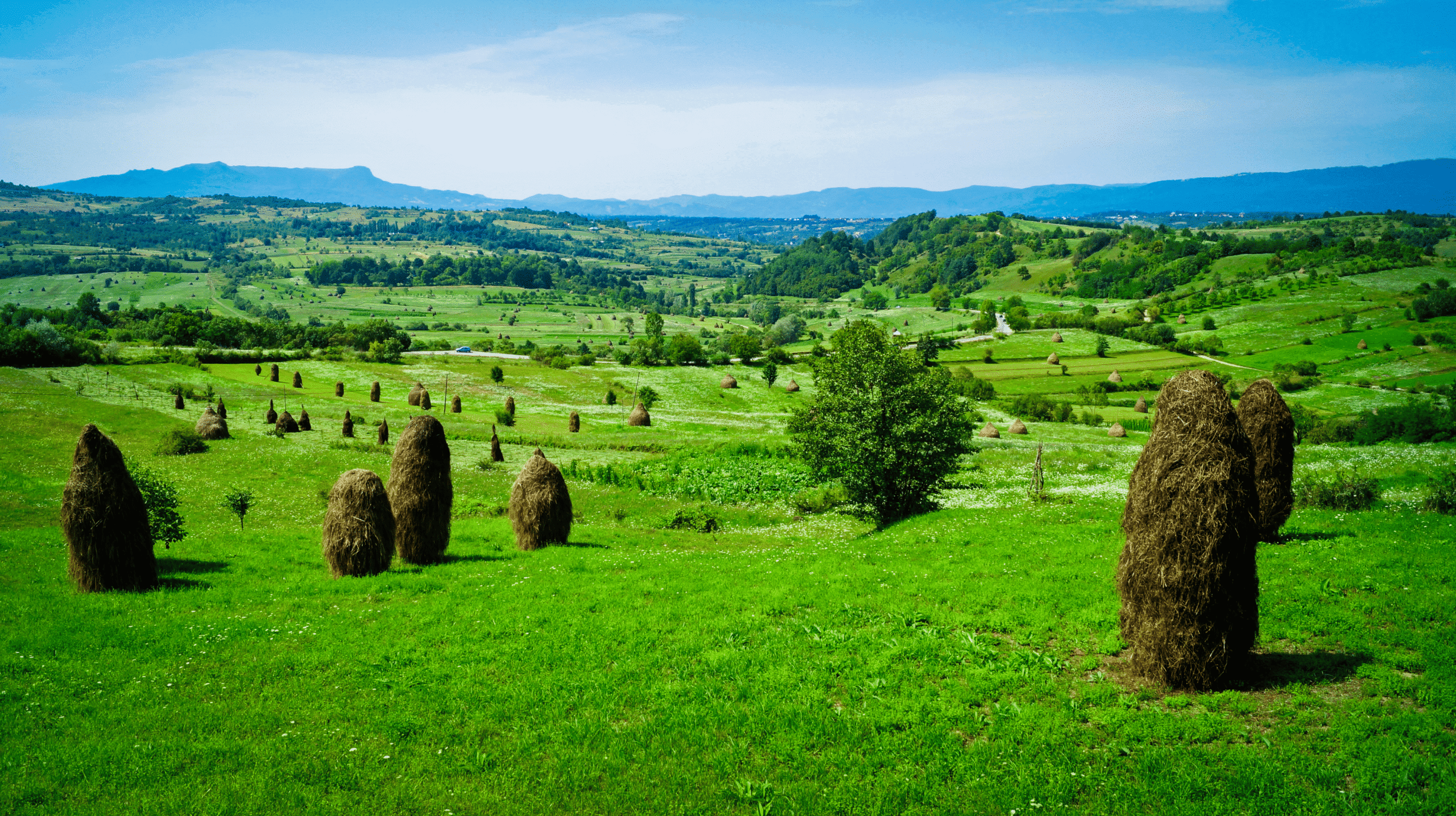 Paisaje rural de Maramureș en Rumanía con pueblos tradicionales de madera, montañas y campos verdes.