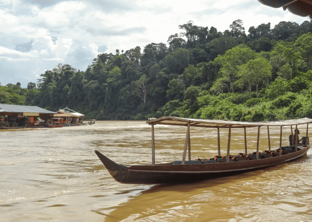 Selva del Taman Negara