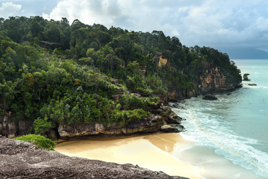 Parque Nacional de Bako Malasia