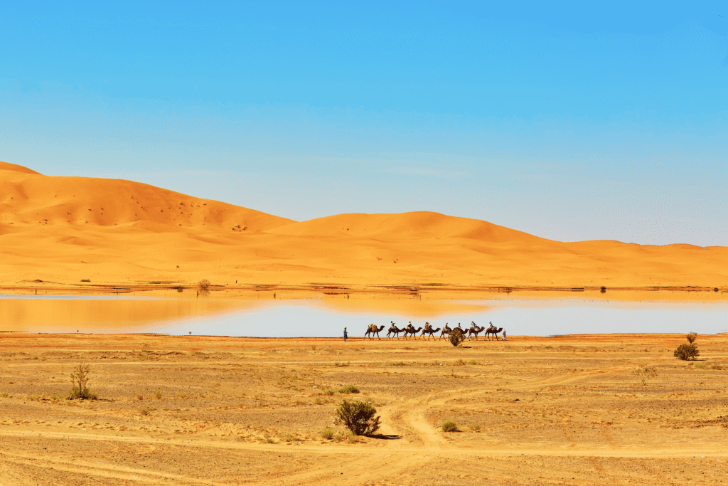 naturaleza viva en Marruecos
