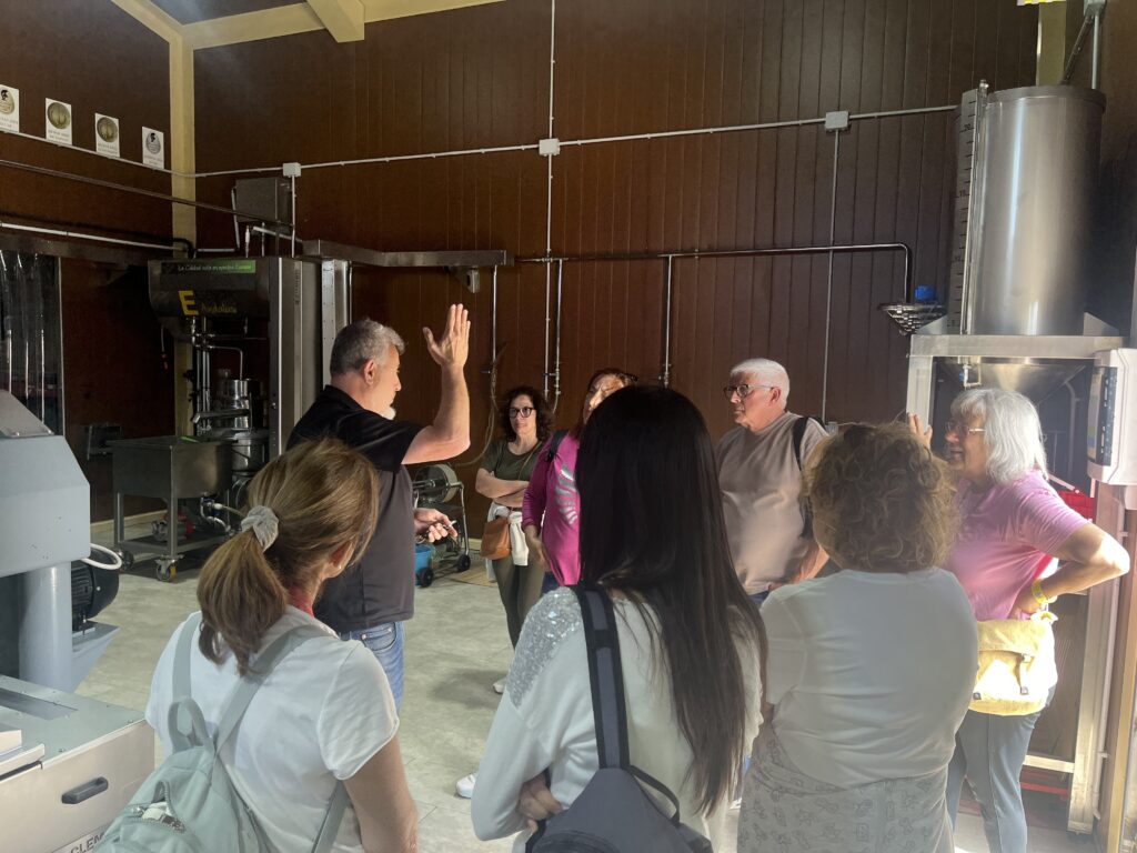 Visita de oleoturismo en la Sierra Sur de Jaén con cata de Aceite de Oliva Virgen Extra (AOVE) y explicación del proceso de elaboración.