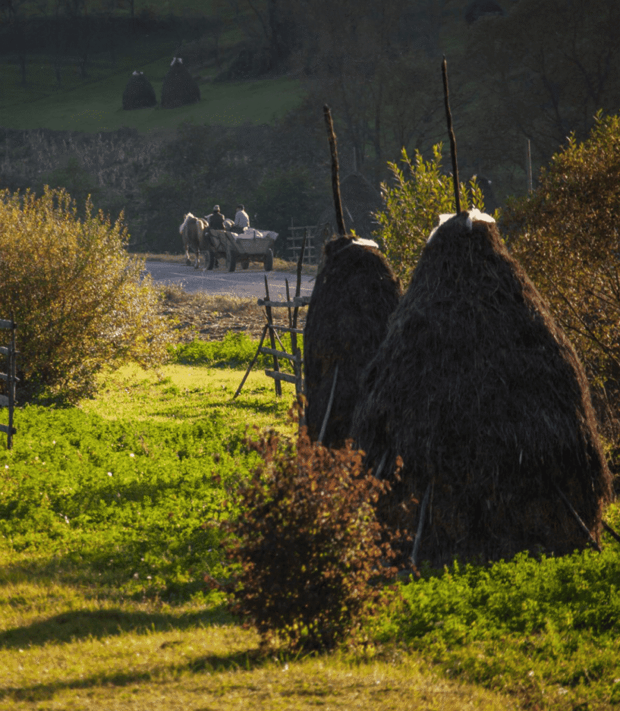 Pueblo tradicional del Valle de Iza en Maramureș, Rumanía, con casas de madera y paisaje rural montañoso.
