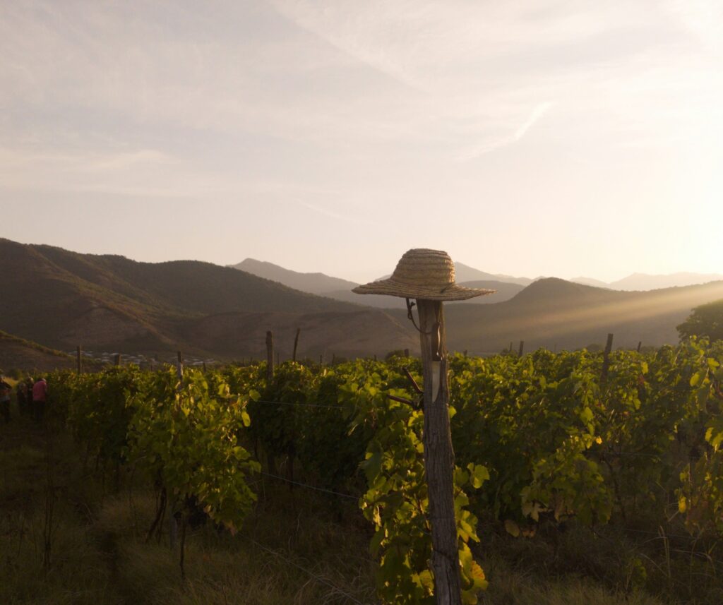 Kakheti Georgia región rural tradiciones vino ancestral qvevri