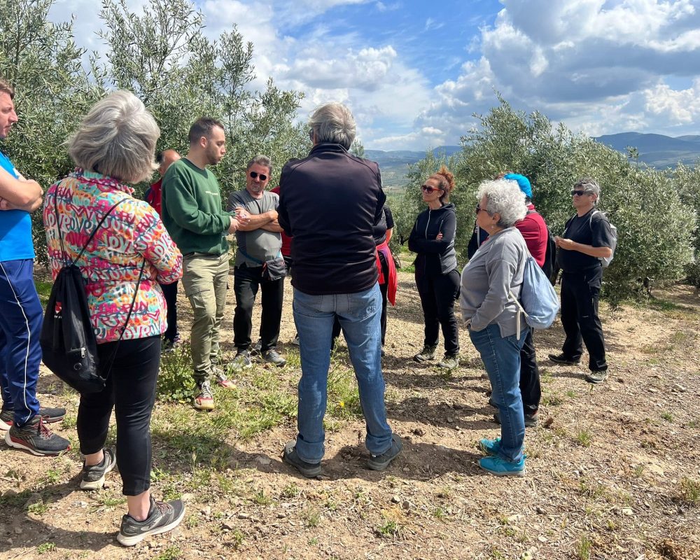 20c728cd-1ede-4503-9627-1dfe6b0f2a10