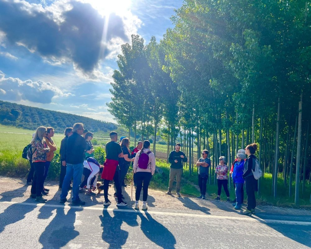 225c9e39-66b9-4fa5-b8c2-564c4c0f146e