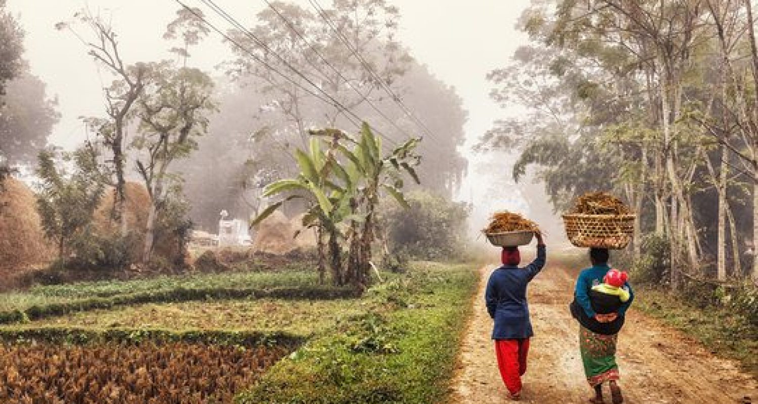 Mujeres nepalesas caminando por un sendero rural con cestas en la cabeza, rodeadas de campos verdes y árboles en Terai, Nepal. Turismo cultural y experiencias rurales.