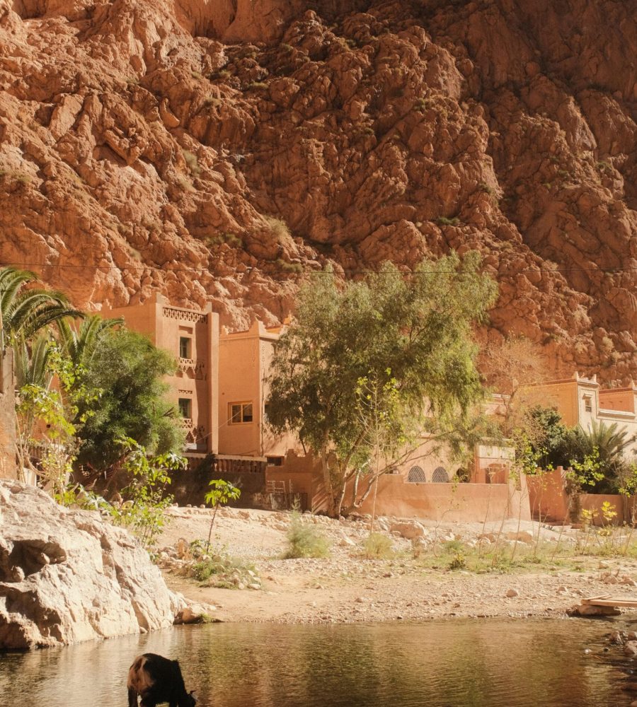 Alto Atlas & Valle del Drâa​