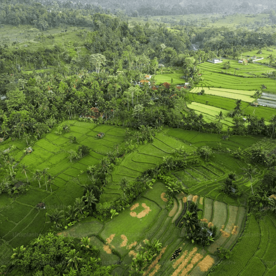 Isla de Bali. Sidemen, la Bali que casi nadie ve