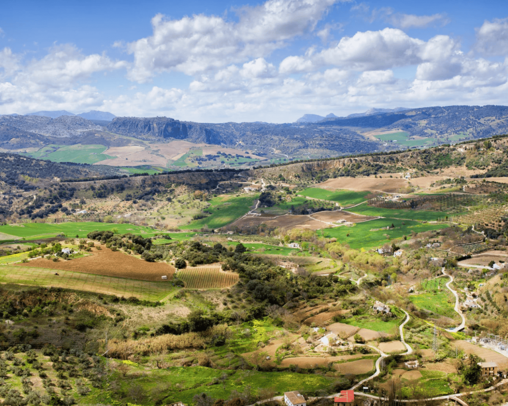 Captura de pantalla 2026-01-28 a las 16.53.15