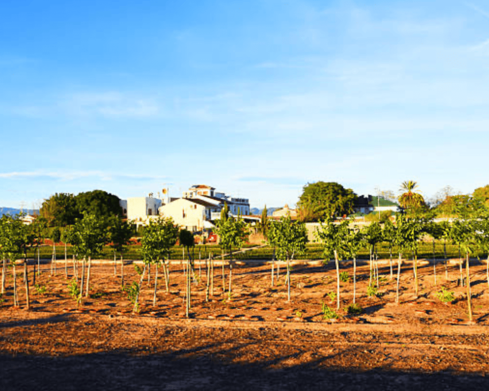 Captura de pantalla 2026-01-28 a las 16.58.28