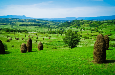 Colinas de Maramures