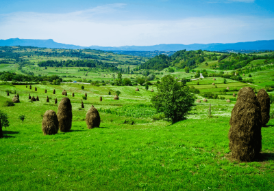 Colinas de Maramures
