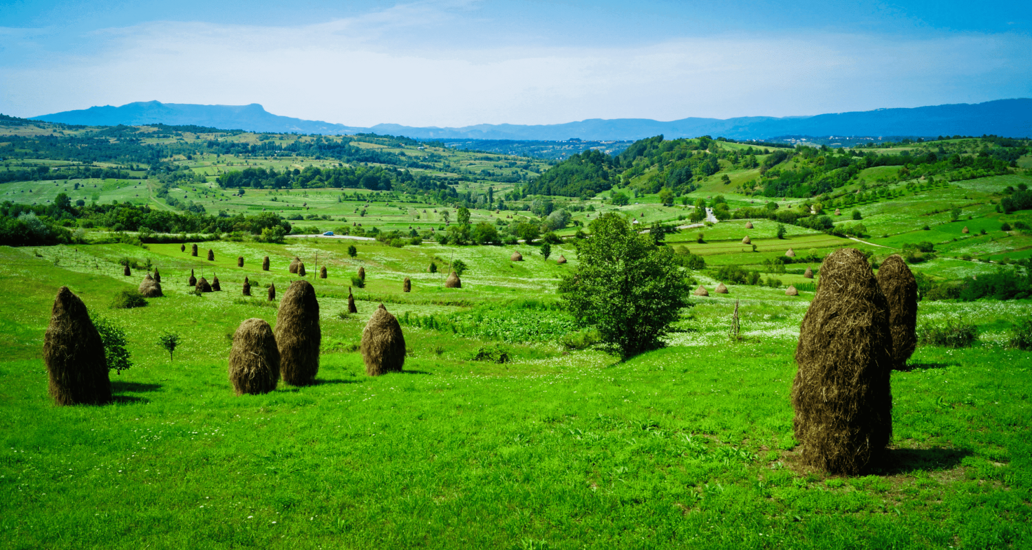Paisaje rural de Maramureș en Rumanía con pueblos tradicionales de madera, montañas y campos verdes.