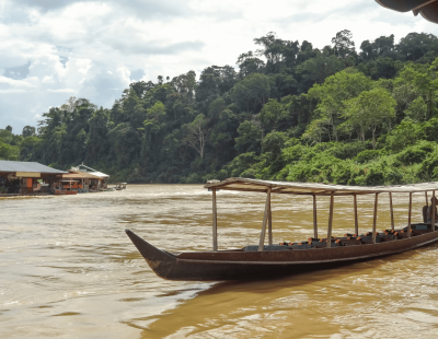 Selva del Taman Negara