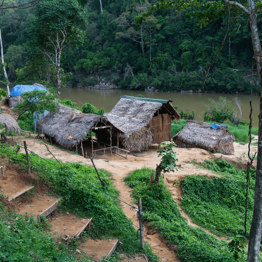 Selva del Taman Negara cultura local Orang Asli