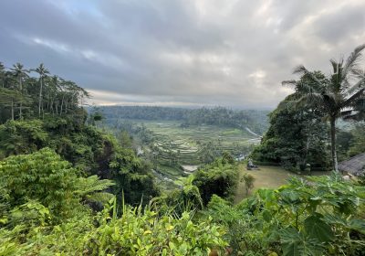 Naturaleza viva en Mahagiri Bali