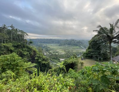 Naturaleza viva en Mahagiri Bali