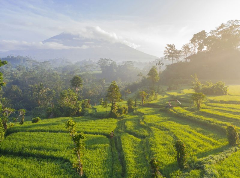 INDONESIA