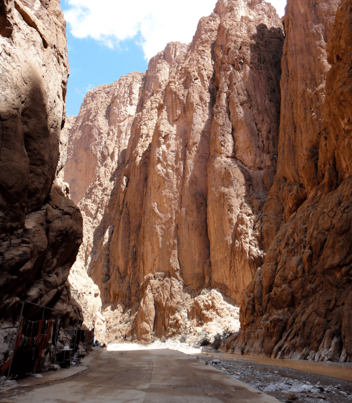 Oasis de Todra & Dadès​
