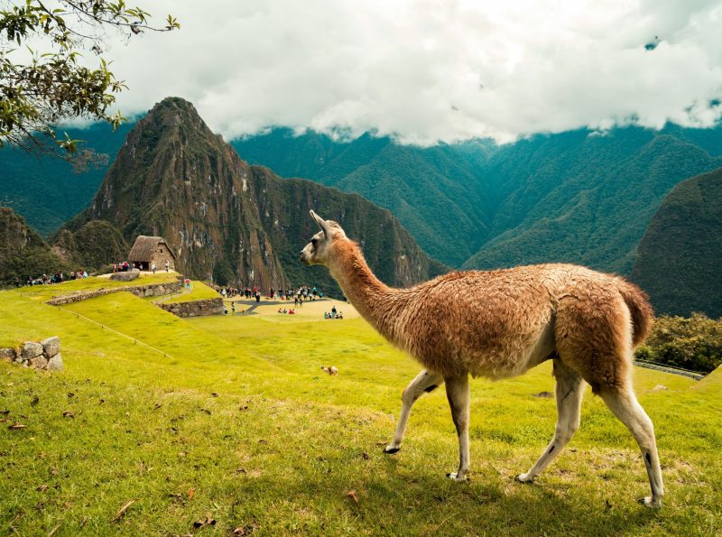 Perú