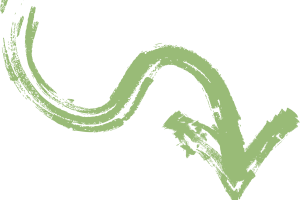 Plan de viaje